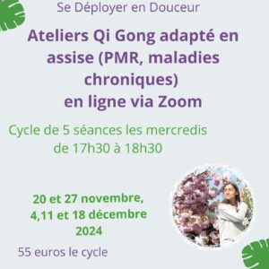 Qi Gong – novembre 2024